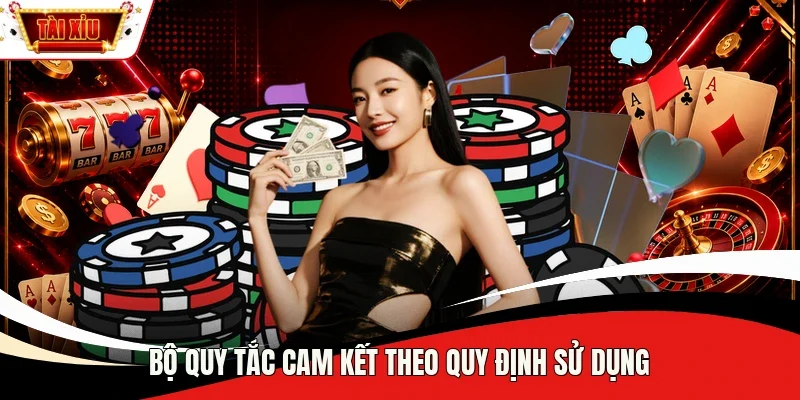 Bộ quy tắc cam kết theo quy định sử dụng