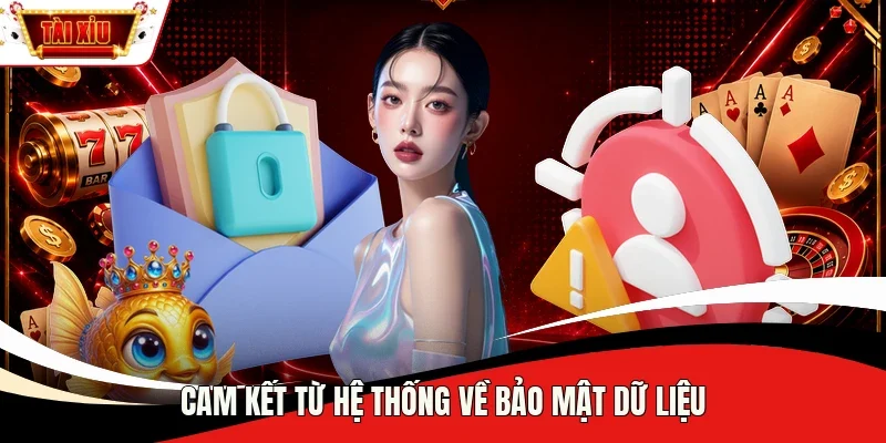 Cam kết từ hệ thống về bảo mật dữ liệu