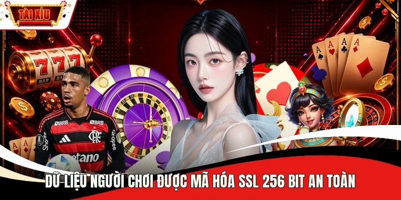 Dữ liệu người chơi được mã hóa SSL 256 bit an toàn