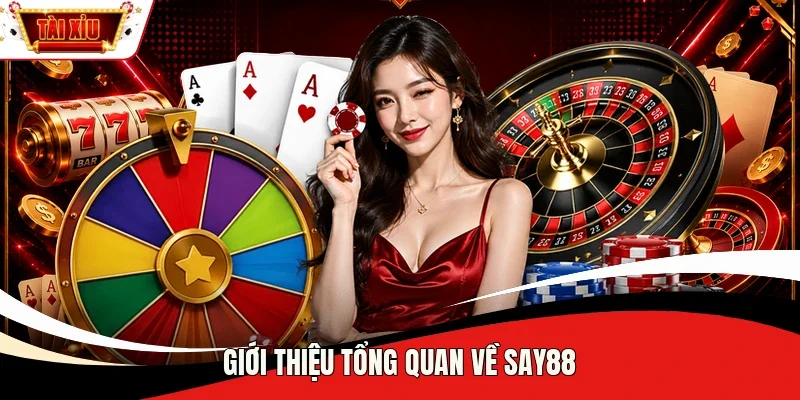 Giới thiệu tổng quan về Say88