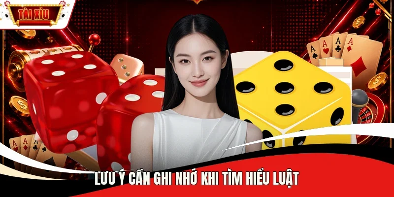 Lưu ý cần ghi nhớ khi tìm hiểu luật