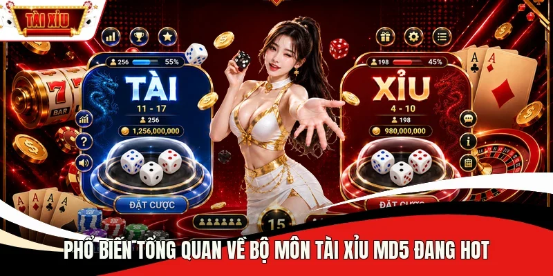 Phổ biến tổng quan về bộ môn Tài xỉu MD5 đang hot