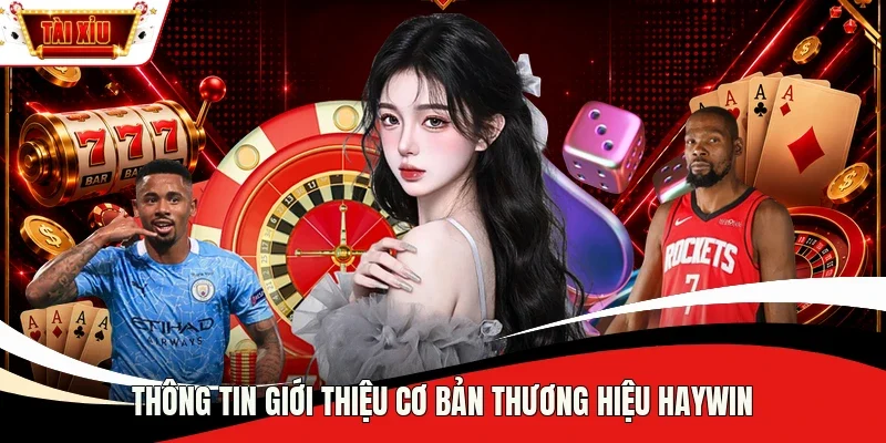 Thông tin giới thiệu cơ bản thương hiệu Haywin