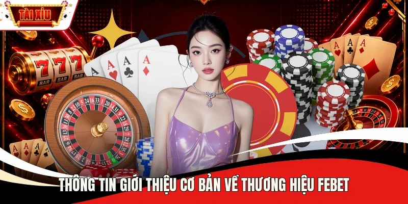 Thông tin giới thiệu cơ bản về thương hiệu Febet