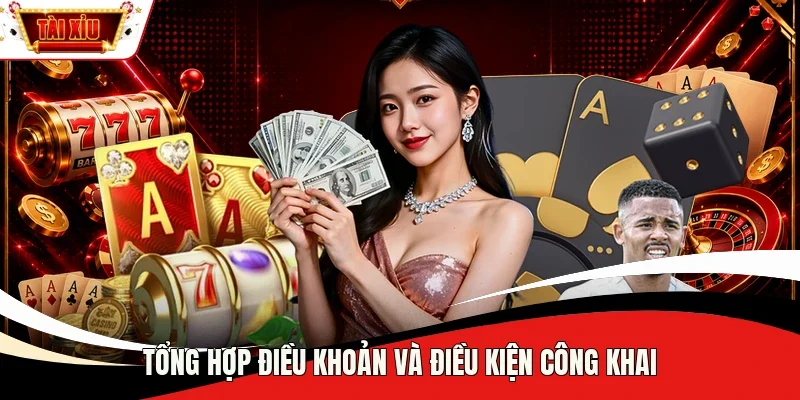 Tổng hợp điều khoản và điều kiện công khai